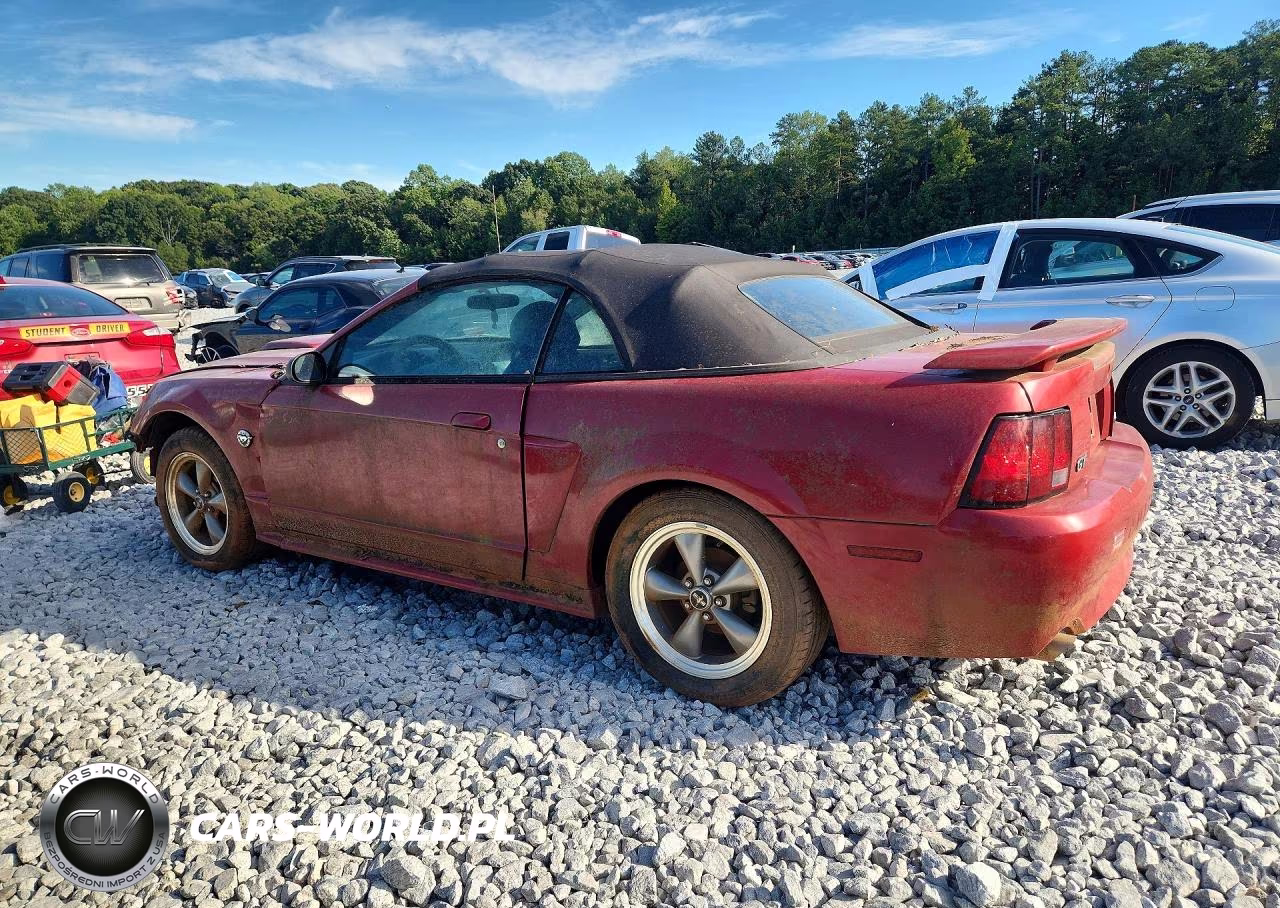 2004 Ford Mustang Gt VIN:1FAFP45X24F202494 - 2