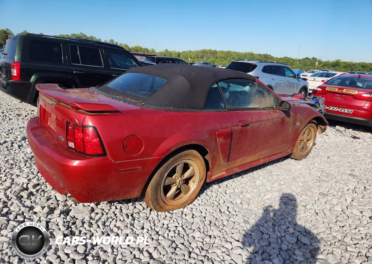 2004 Ford Mustang Gt VIN:1FAFP45X24F202494 - 3