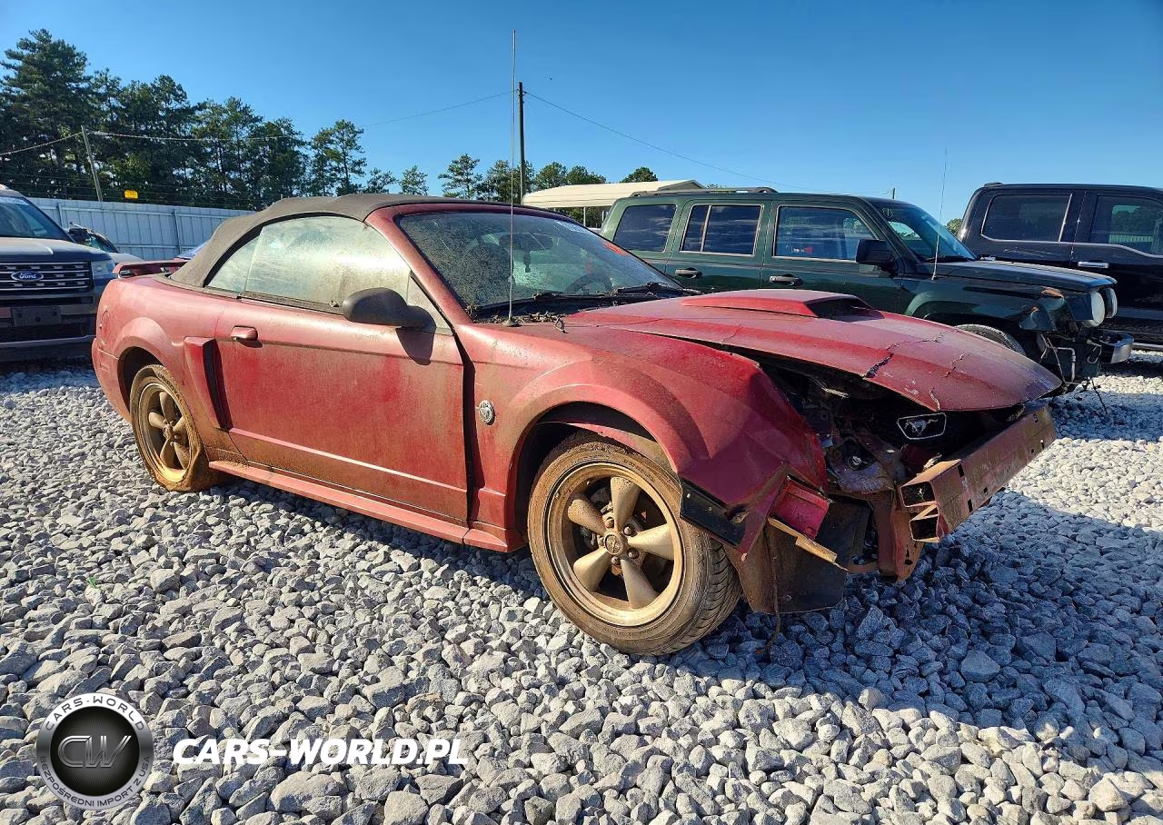 2004 Ford Mustang Gt VIN:1FAFP45X24F202494 - 4