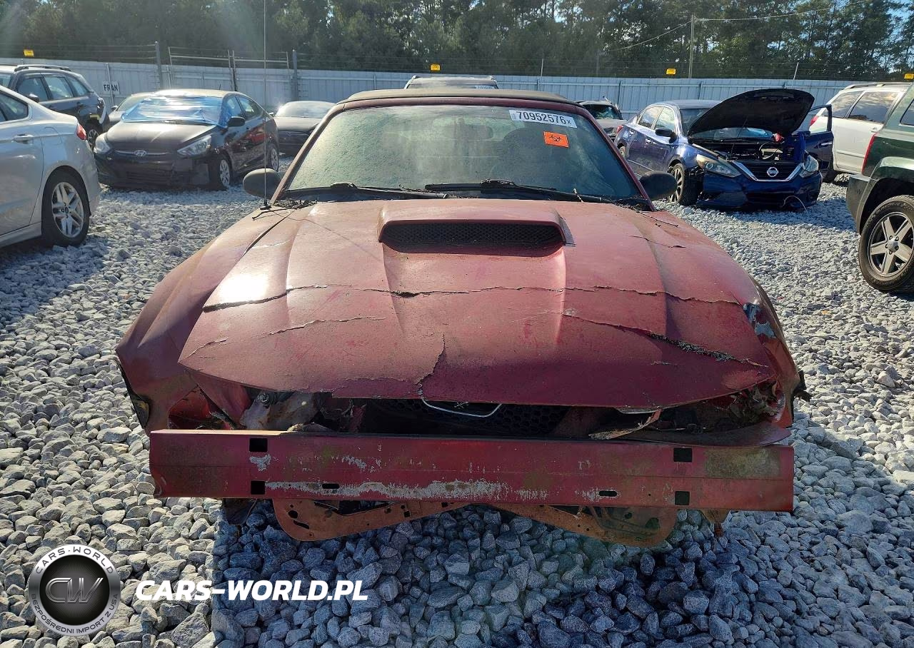 2004 Ford Mustang Gt VIN:1FAFP45X24F202494 - 5