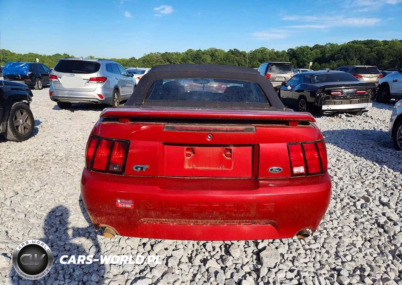 2004 Ford Mustang Gt VIN:1FAFP45X24F202494 - 6