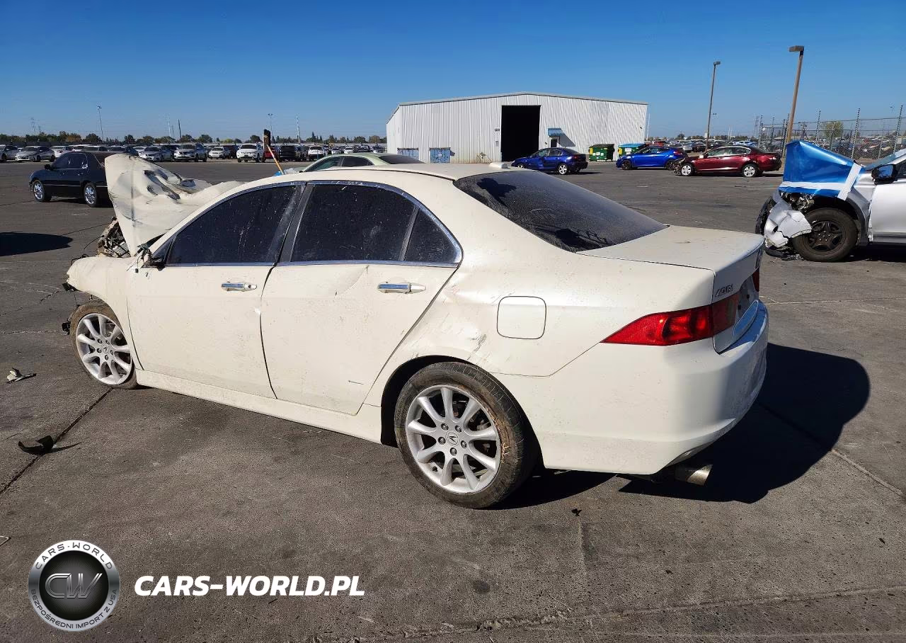 2006 Acura Tsx VIN:JH4CL96806C032202 - 2