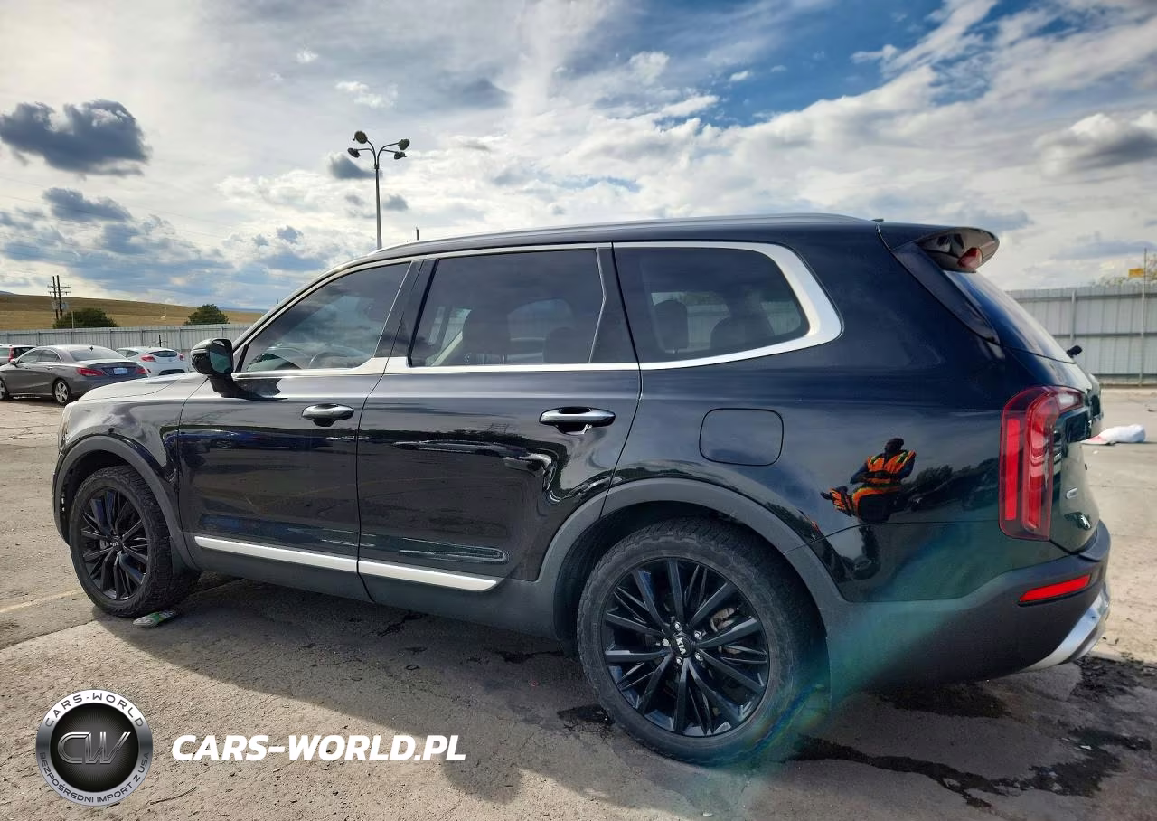2020 Kia Telluride Sx VIN:5XYP5DHC0LG078024 - 2