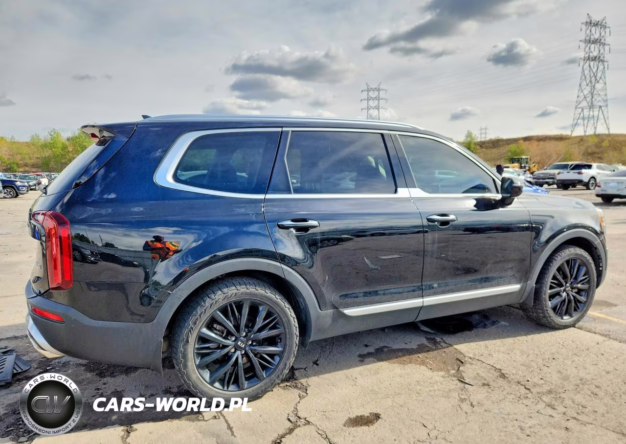2020 Kia Telluride Sx VIN:5XYP5DHC0LG078024 - 3