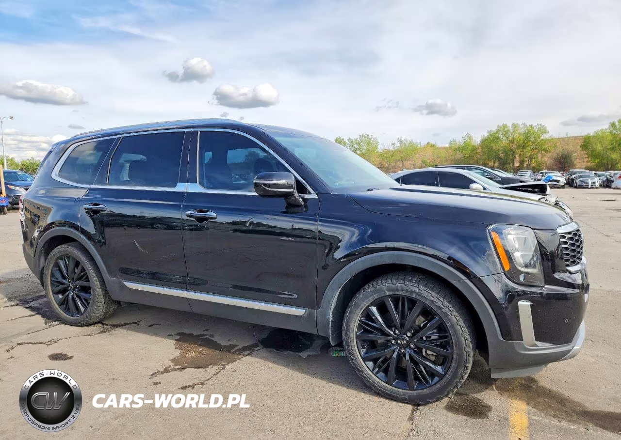 2020 Kia Telluride Sx VIN:5XYP5DHC0LG078024 - 4