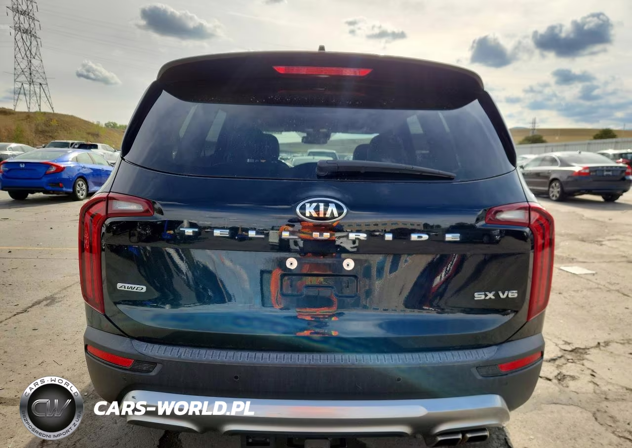 2020 Kia Telluride Sx VIN:5XYP5DHC0LG078024 - 6