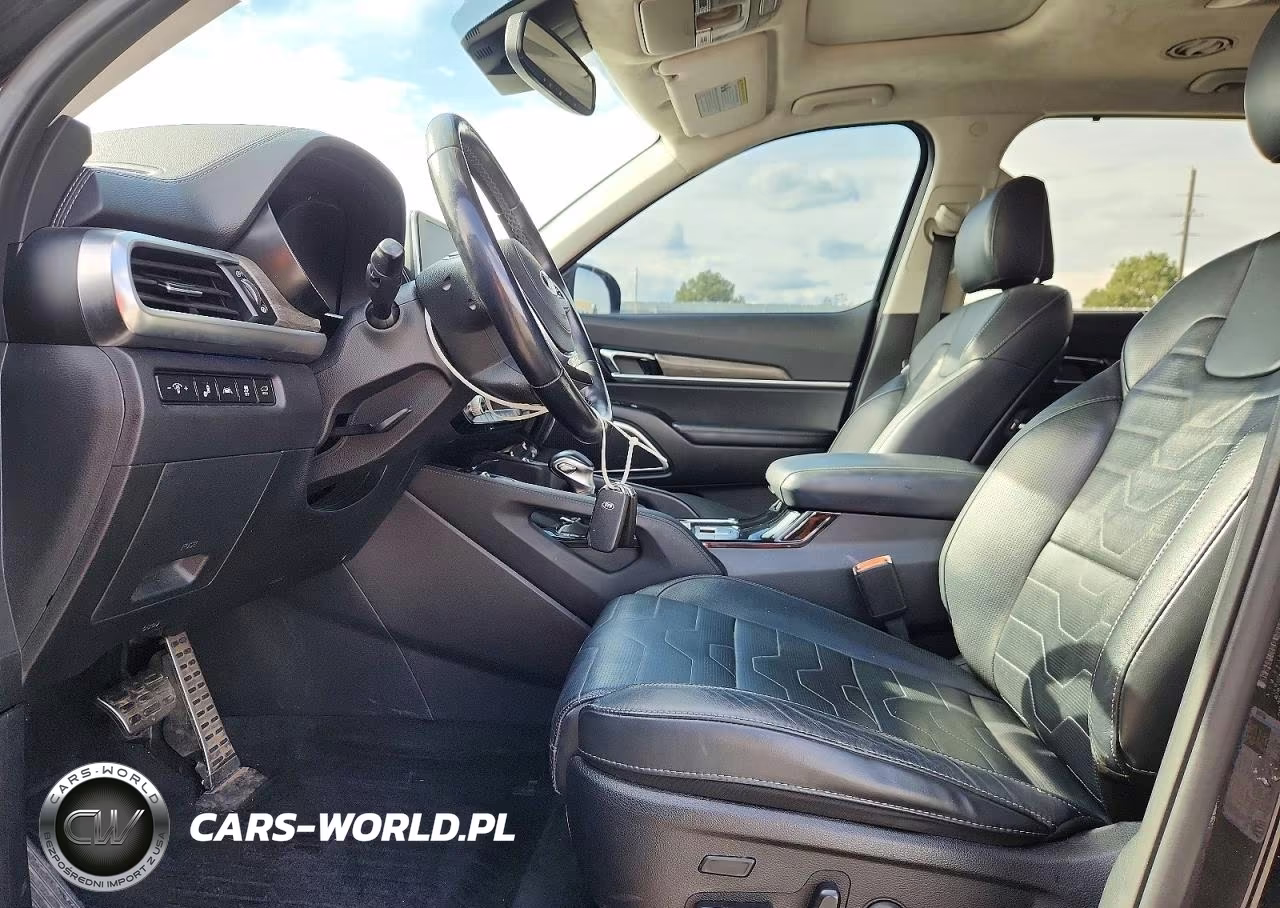 2020 Kia Telluride Sx VIN:5XYP5DHC0LG078024 - 7