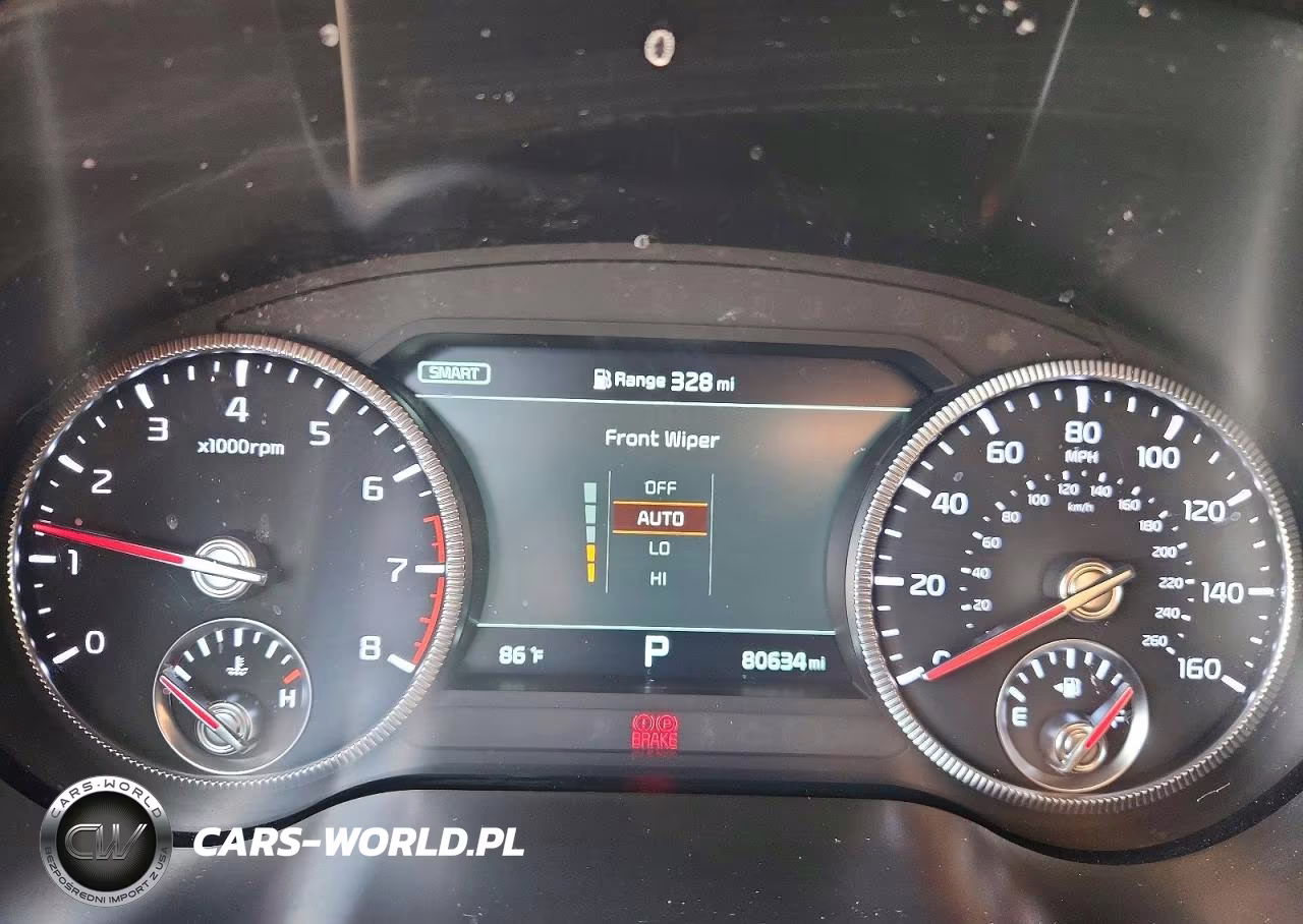 2020 Kia Telluride Sx VIN:5XYP5DHC0LG078024 - 9