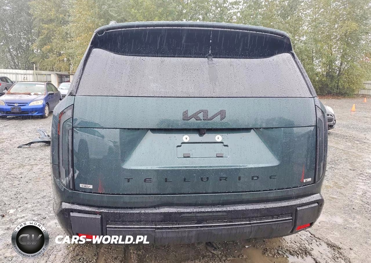 2027 Kia Telluride Hybrid X-Line Sx VIN:5XYPDESA3VG024526 - 6