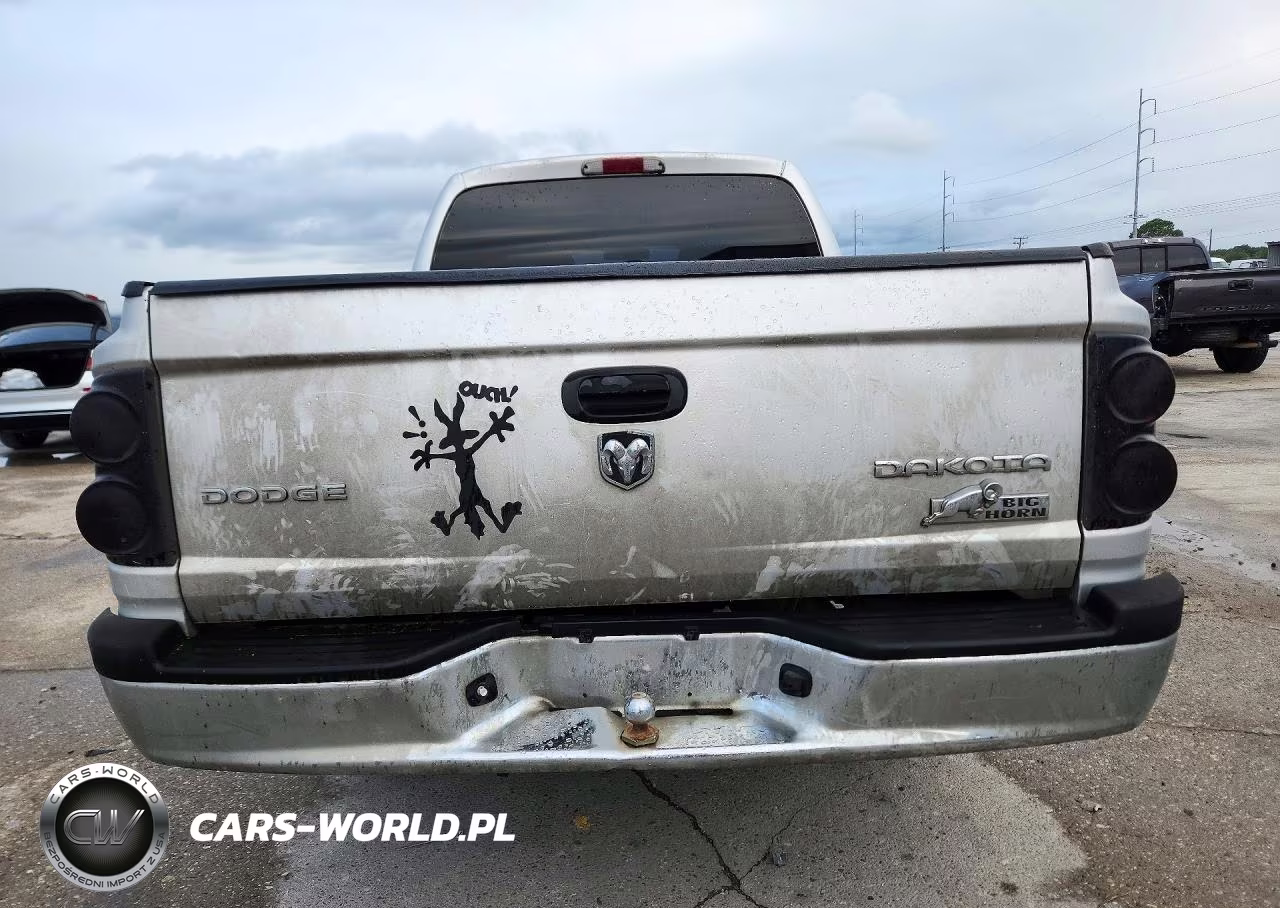 2011 Dodge Dakota Slt VIN:1D7RE3GK4BS676191 - 6