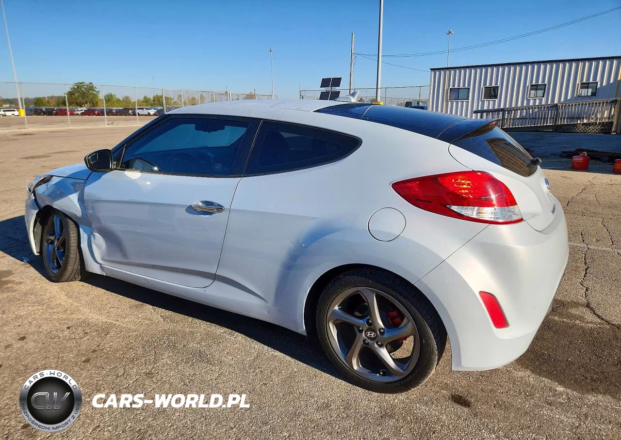 2014 Hyundai Veloster Re:flex VIN:KMHTC6ADXEU213946 - 2