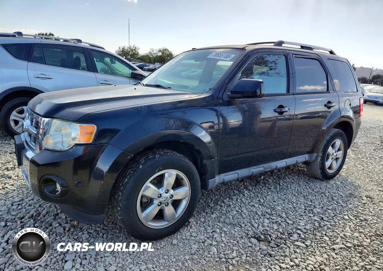 2010 Ford Escape Limited