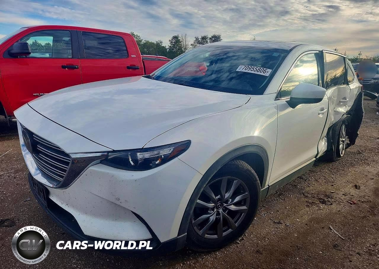 2019 Mazda Cx-9 Touring VIN:JM3TCBCY3K0334163 - 1