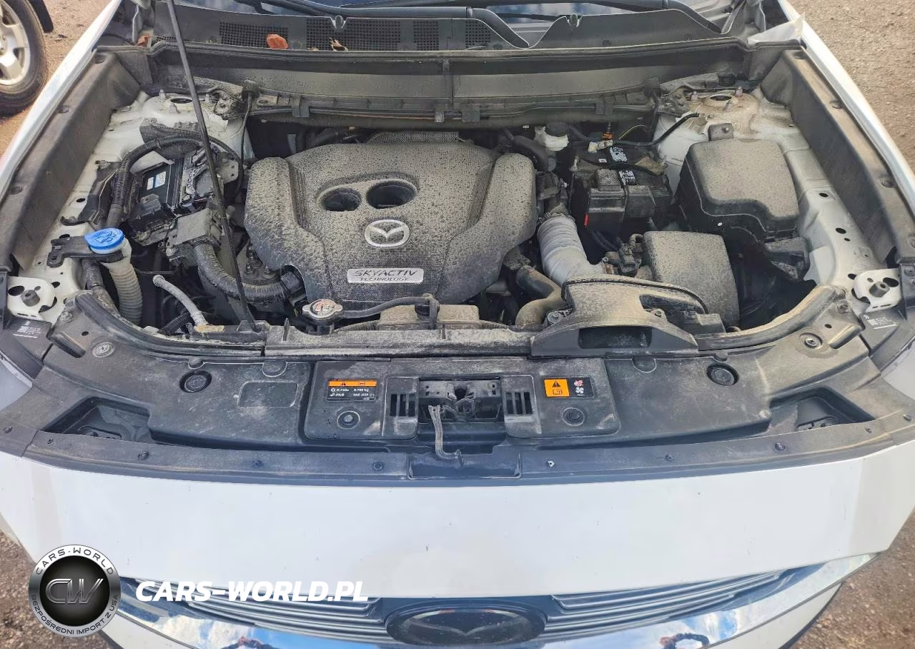 2019 Mazda Cx-9 Touring VIN:JM3TCBCY3K0334163 - 11