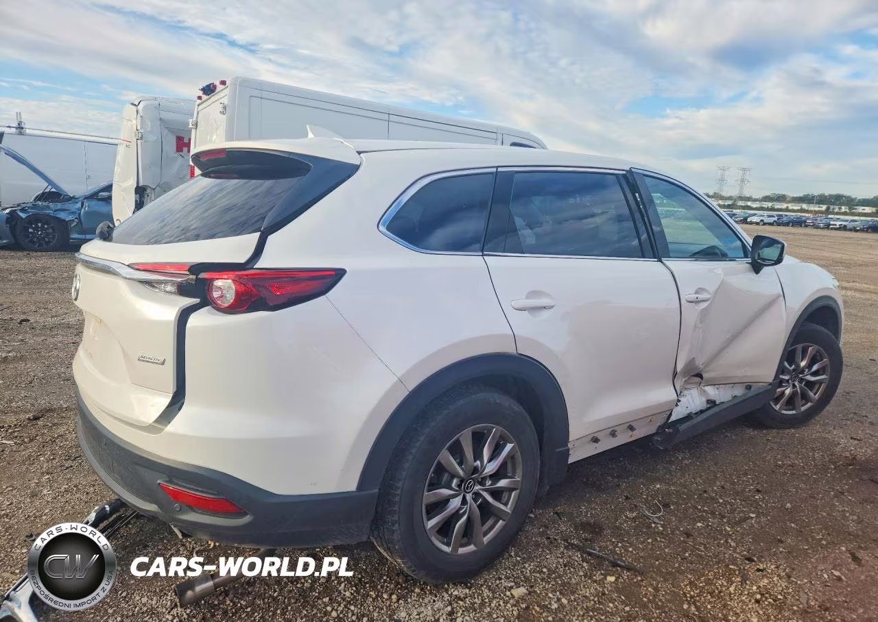 2019 Mazda Cx-9 Touring VIN:JM3TCBCY3K0334163 - 3