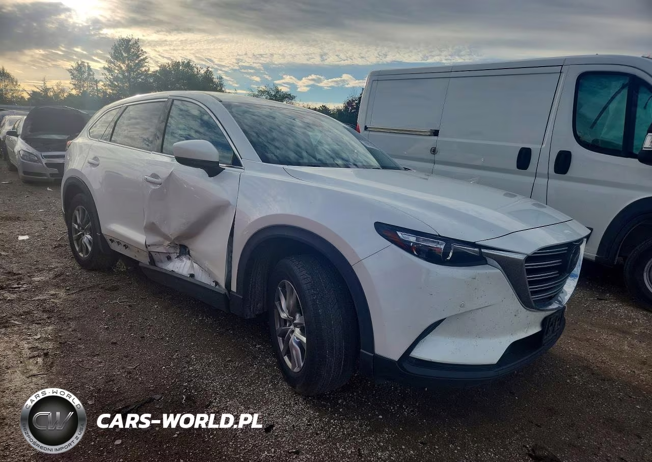 2019 Mazda Cx-9 Touring VIN:JM3TCBCY3K0334163 - 4