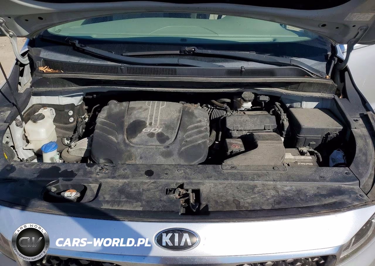 2016 Kia Sedona Sxl VIN:KNDME5C17G6143572 - 12