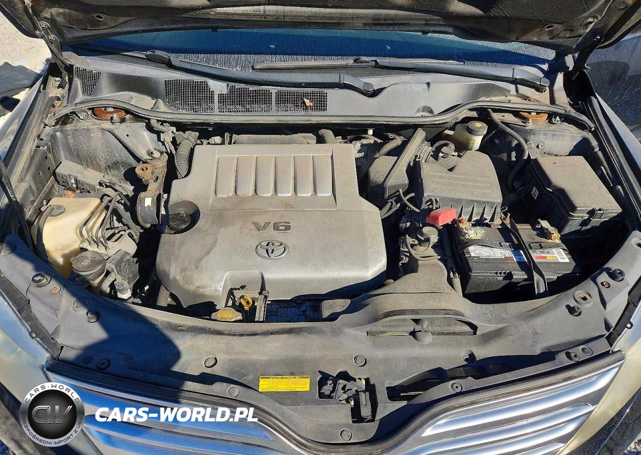 2010 Toyota Venza Awd V6 VIN:4T3BK3BB9AU036026 - 12