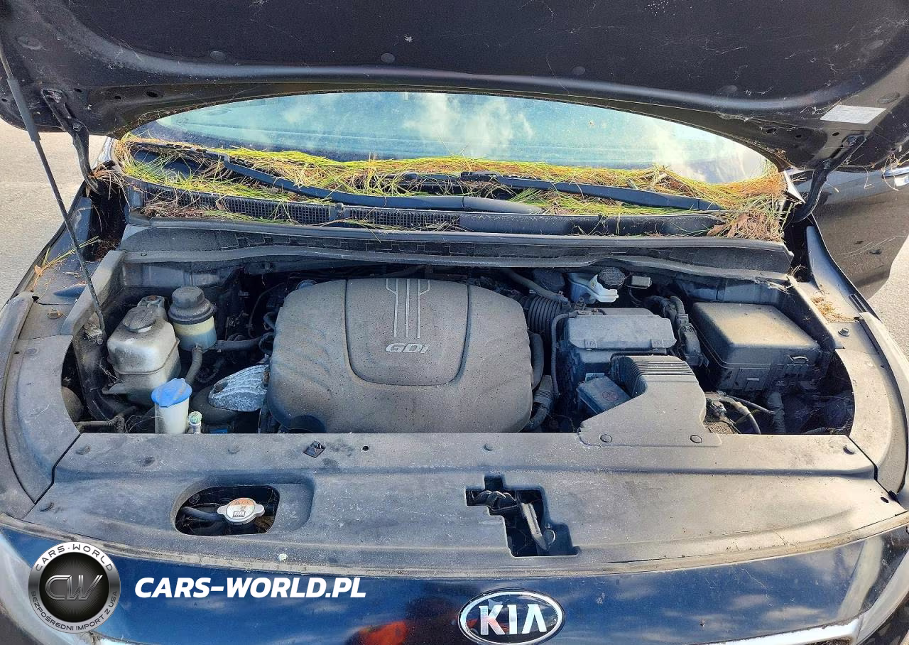 2016 Kia Sedona Lx VIN:KNDMB5C16G6125721 - 12