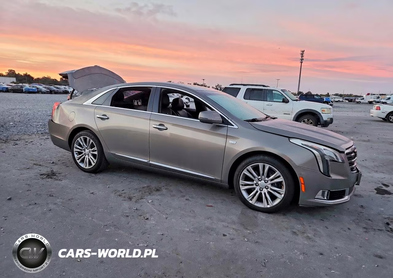 2019 Cadillac Xts Luxury VIN:2G61M5S39K9145840 - 4