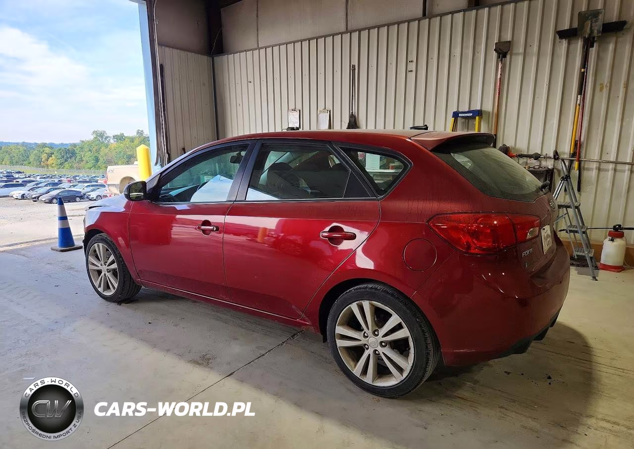 2011 Kia Forte5 Sx VIN:KNAFW5A33B5413113 - 2