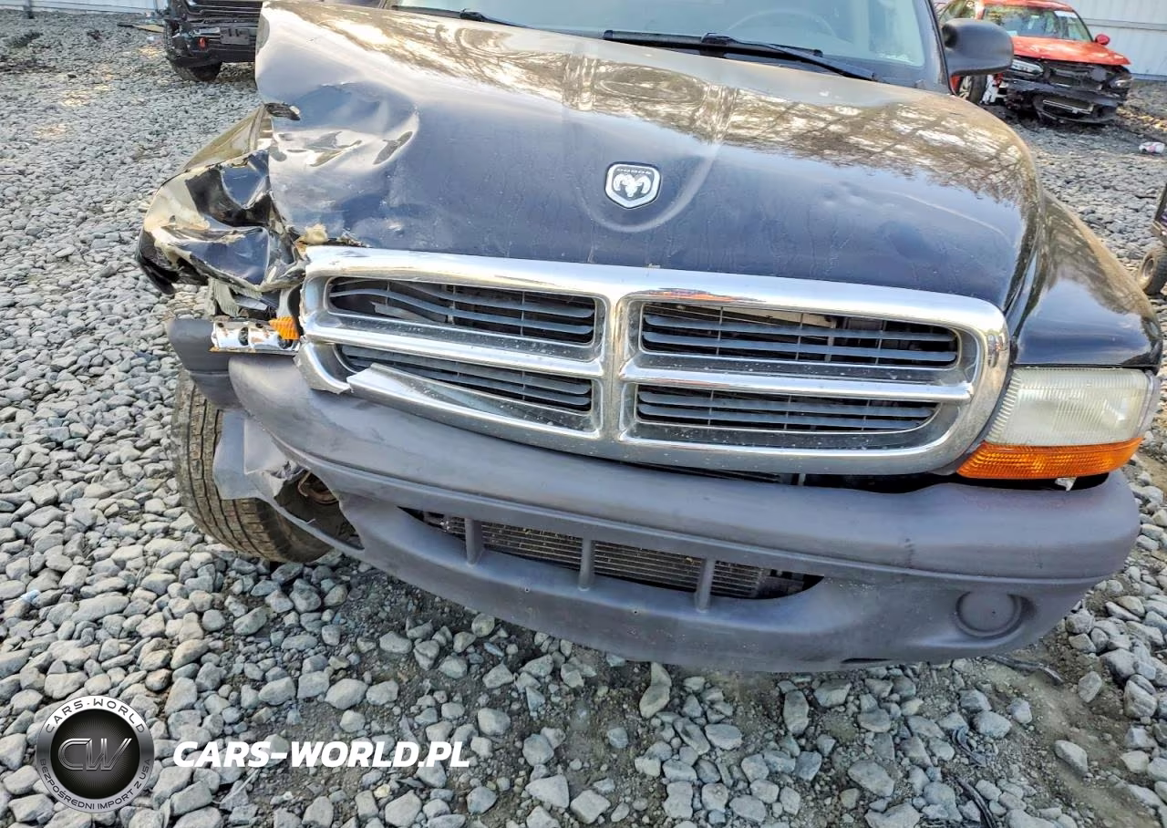 2004 Dodge Dakota Sxt VIN:1D7GG16K84S507866 - 11