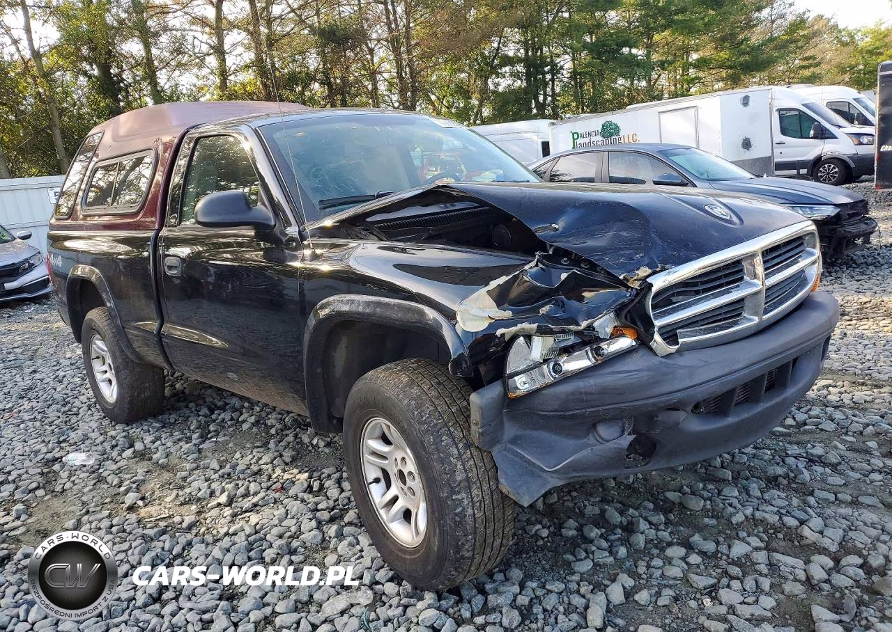 2004 Dodge Dakota Sxt VIN:1D7GG16K84S507866 - 4