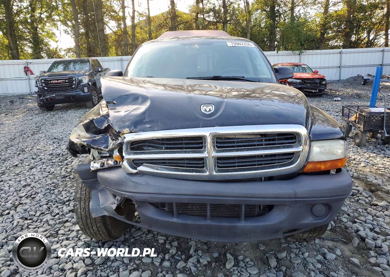 2004 Dodge Dakota Sxt VIN:1D7GG16K84S507866 - 5