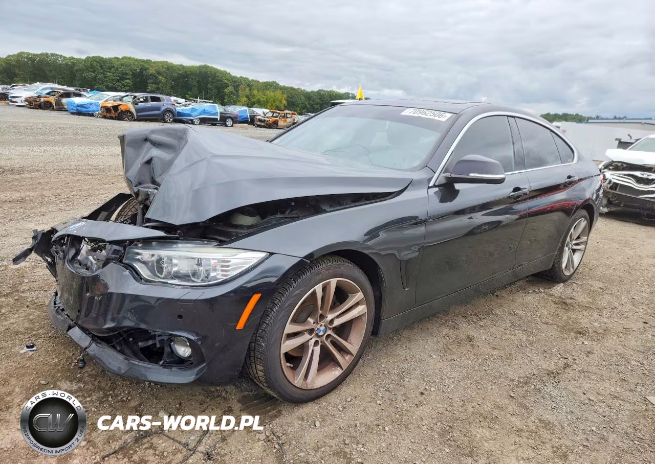 2016 BMW 428 Xi Gran Coupe Sulev VIN:WBA4C9C59GG136484 - 1