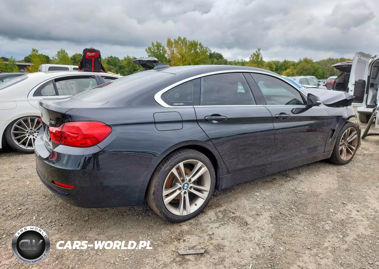 2016 BMW 428 Xi Gran Coupe Sulev VIN:WBA4C9C59GG136484 - 3