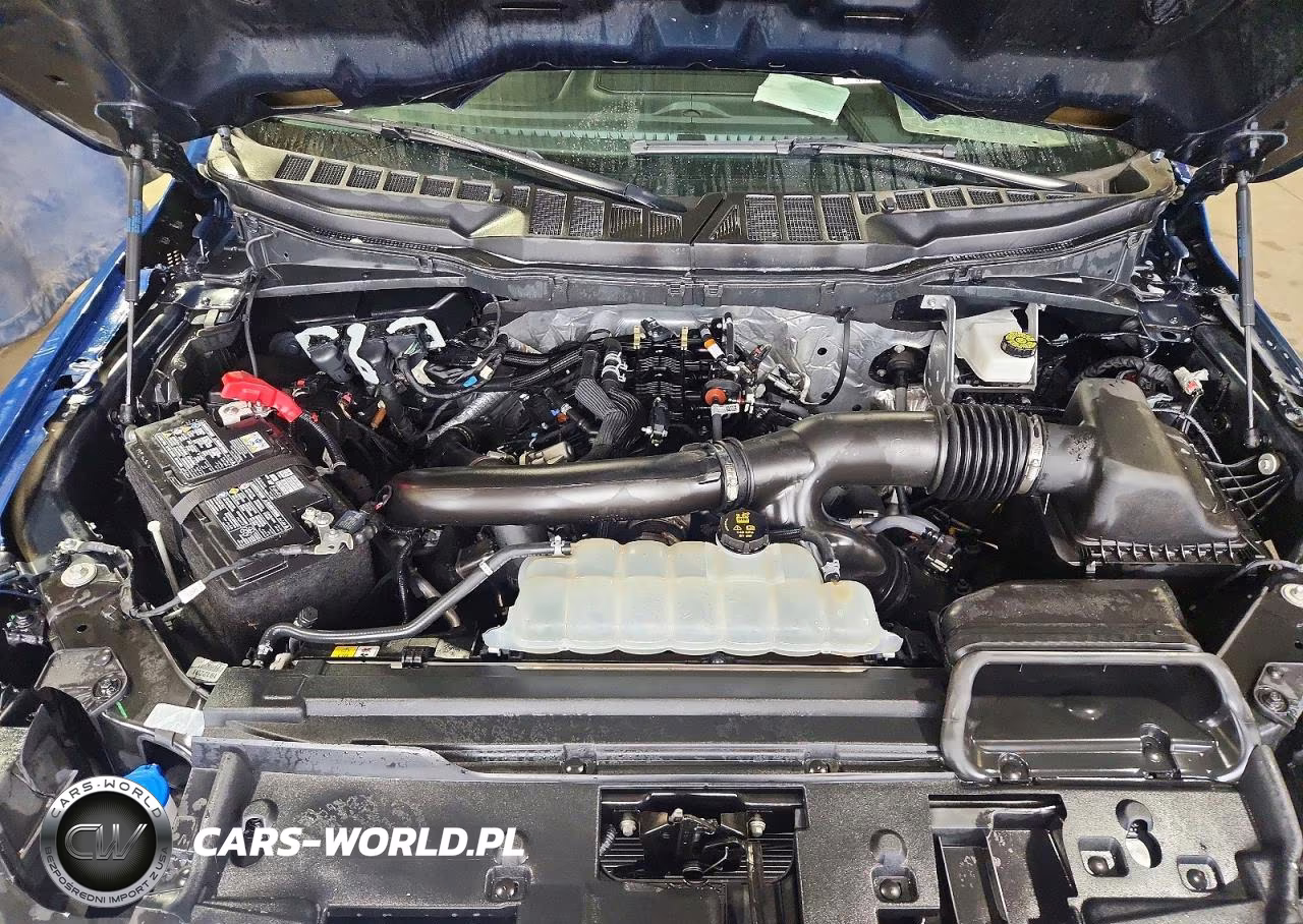 2025 Ford F150 VIN:1FTFW3L84SKE77341 - 11