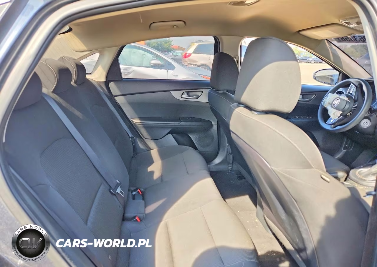 2020 Kia Forte Fe VIN:3KPF24AD4LE168667 - 10