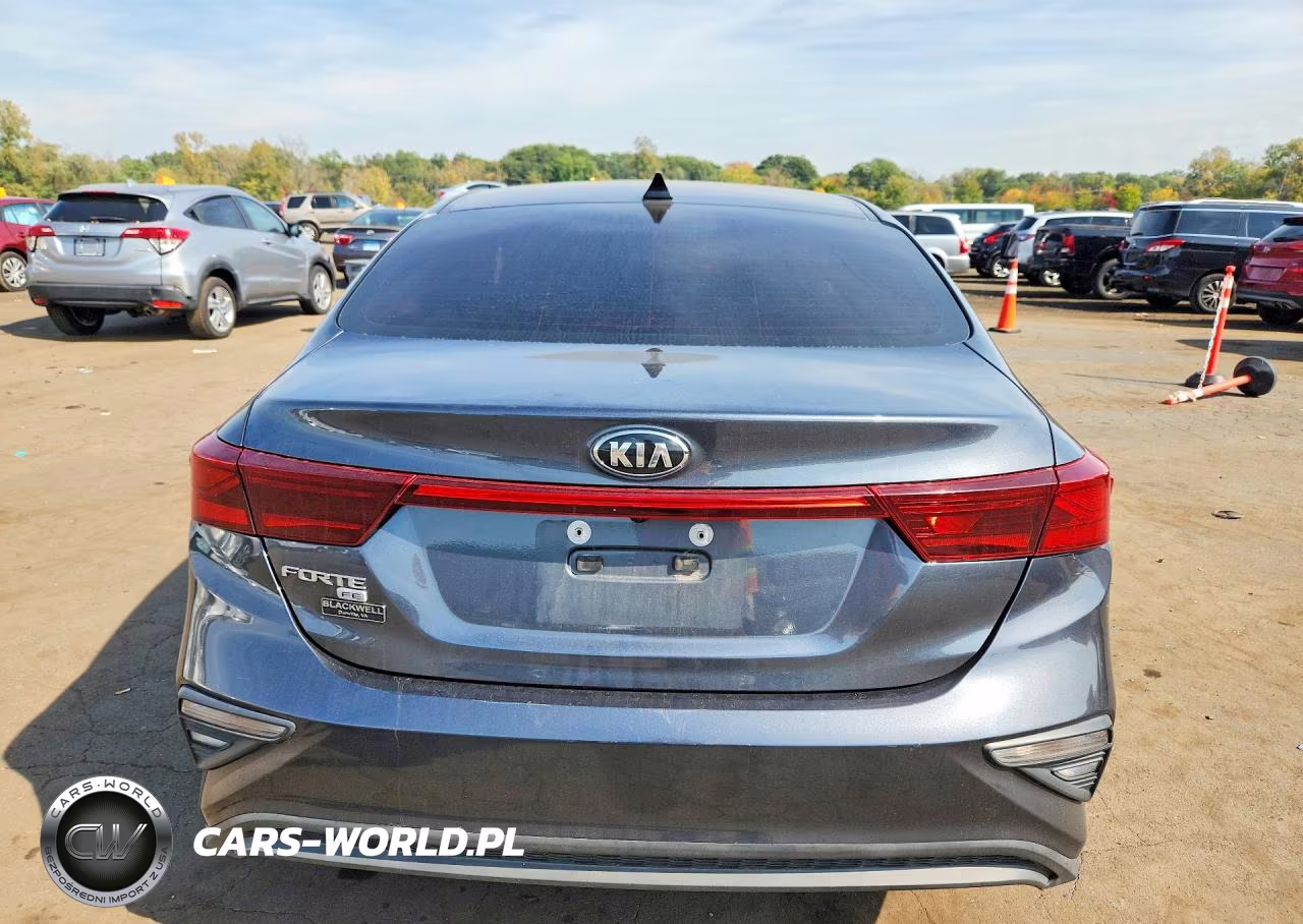 2020 Kia Forte Fe VIN:3KPF24AD4LE168667 - 6