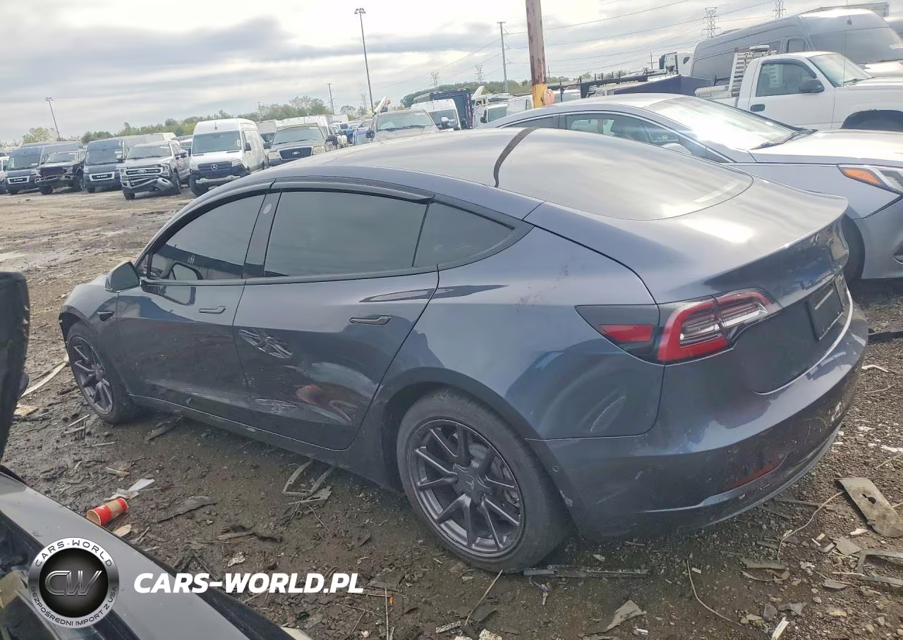 2019 Tesla Model 3 Long Range-Mid Range-Standard Range-Standard Range Plus VIN:5YJ3E1EA2KF396281 - 2