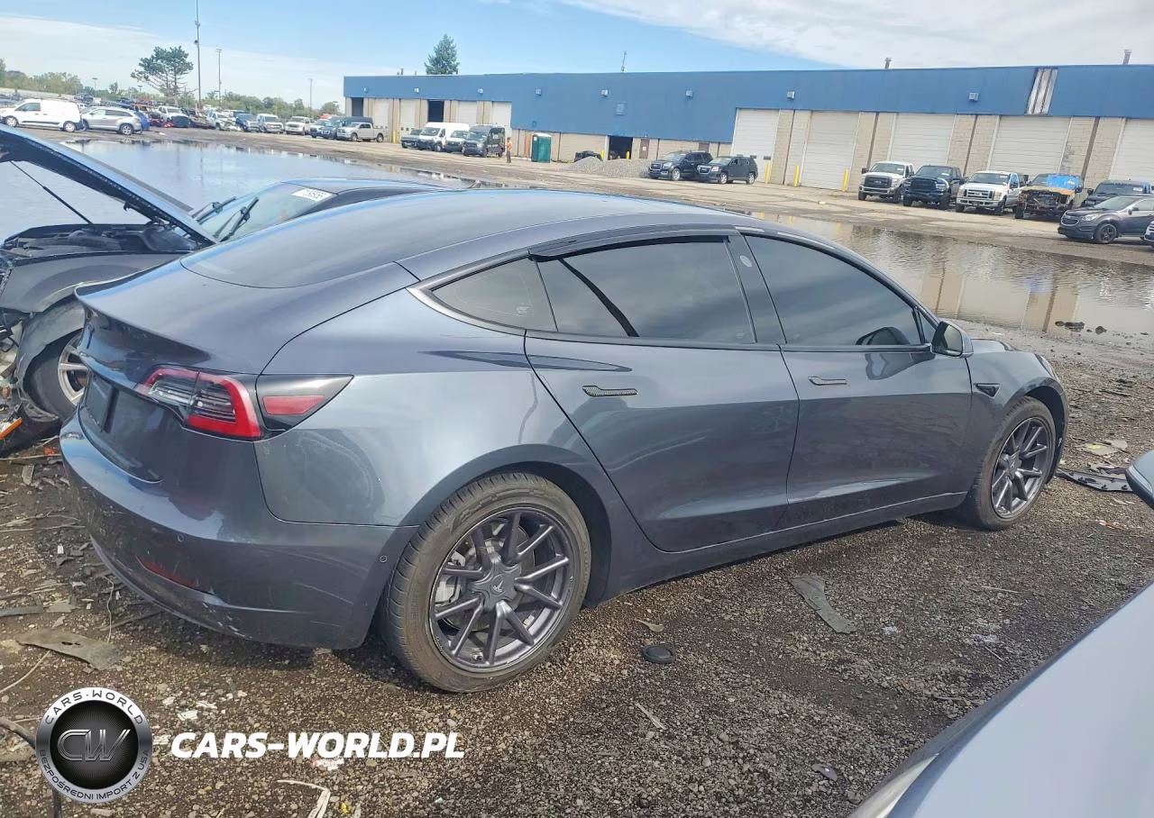 2019 Tesla Model 3 Long Range-Mid Range-Standard Range-Standard Range Plus VIN:5YJ3E1EA2KF396281 - 3