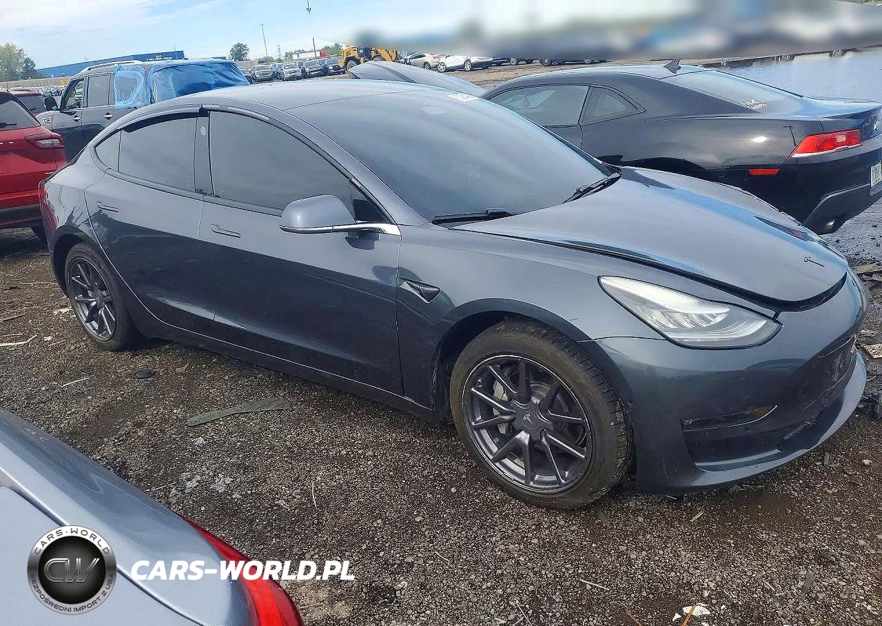 2019 Tesla Model 3 Long Range-Mid Range-Standard Range-Standard Range Plus VIN:5YJ3E1EA2KF396281 - 4