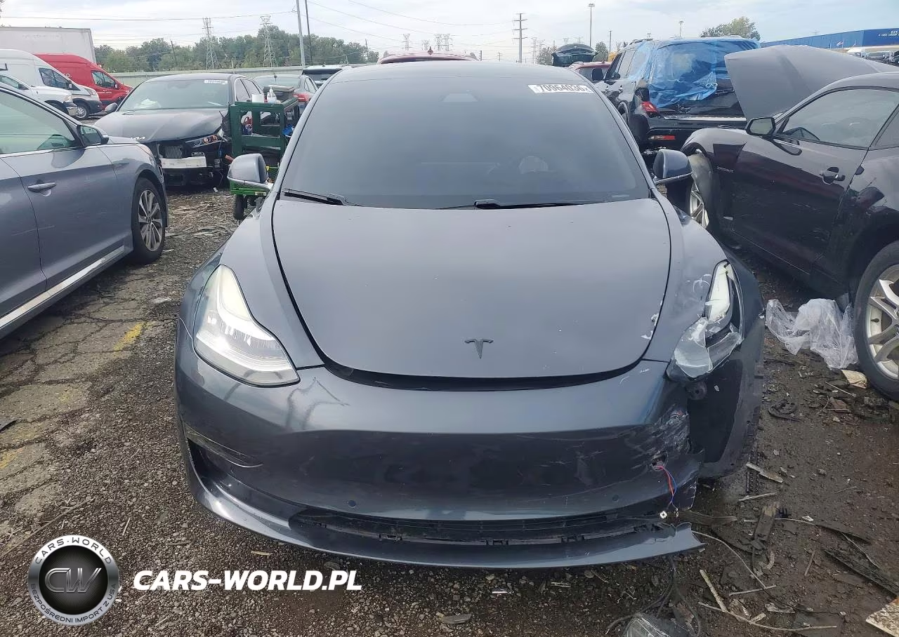 2019 Tesla Model 3 Long Range-Mid Range-Standard Range-Standard Range Plus VIN:5YJ3E1EA2KF396281 - 5