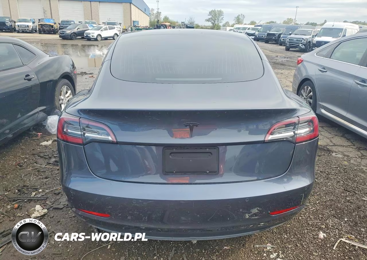 2019 Tesla Model 3 Long Range-Mid Range-Standard Range-Standard Range Plus VIN:5YJ3E1EA2KF396281 - 6