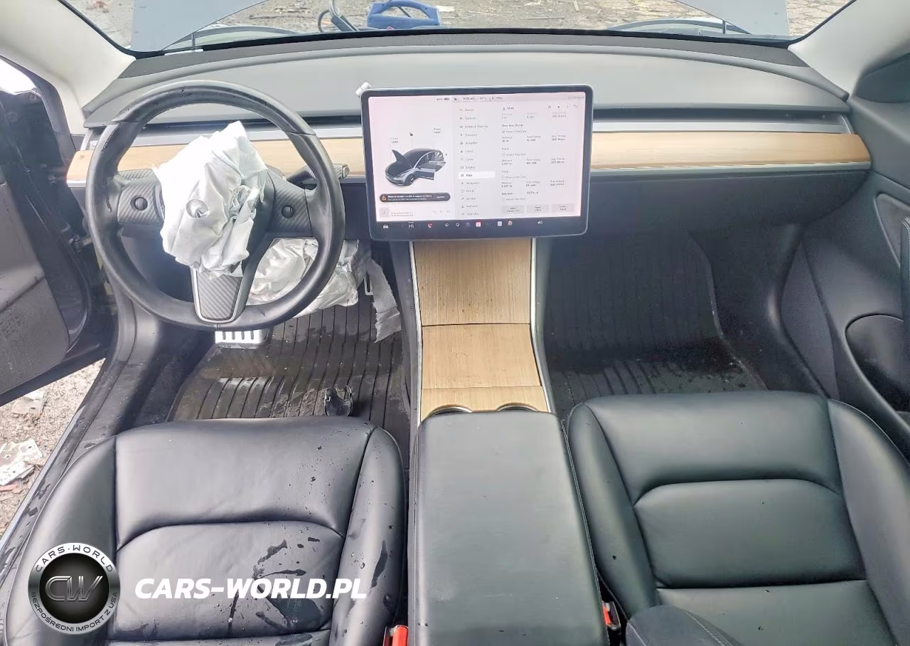 2019 Tesla Model 3 Long Range-Mid Range-Standard Range-Standard Range Plus VIN:5YJ3E1EA2KF396281 - 8