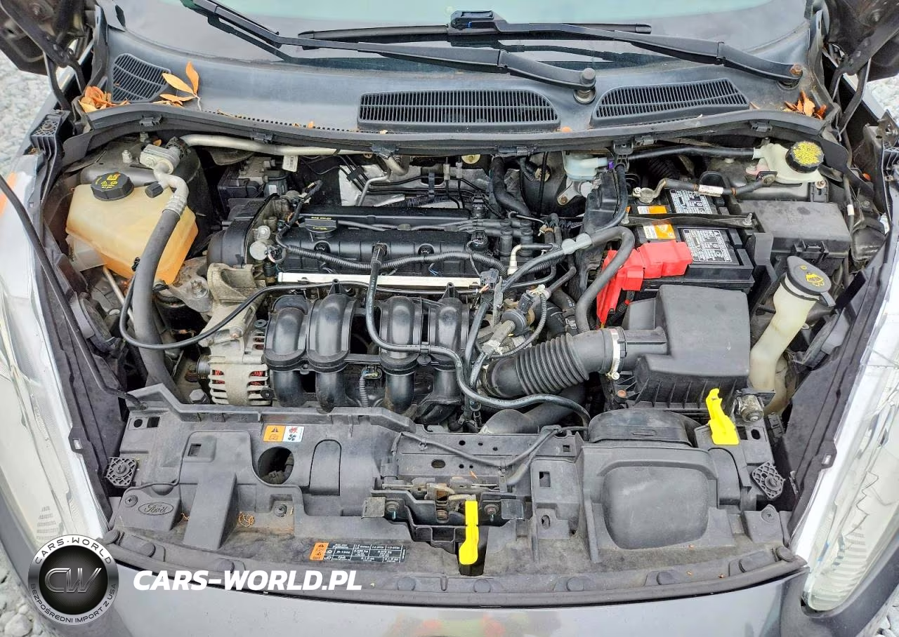 2016 Ford Fiesta Se VIN:3FADP4BJ2GM118056 - 11