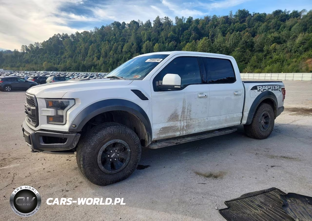 2017 Ford F150 Raptor VIN:1FTFW1RG3HFB76533 - 1