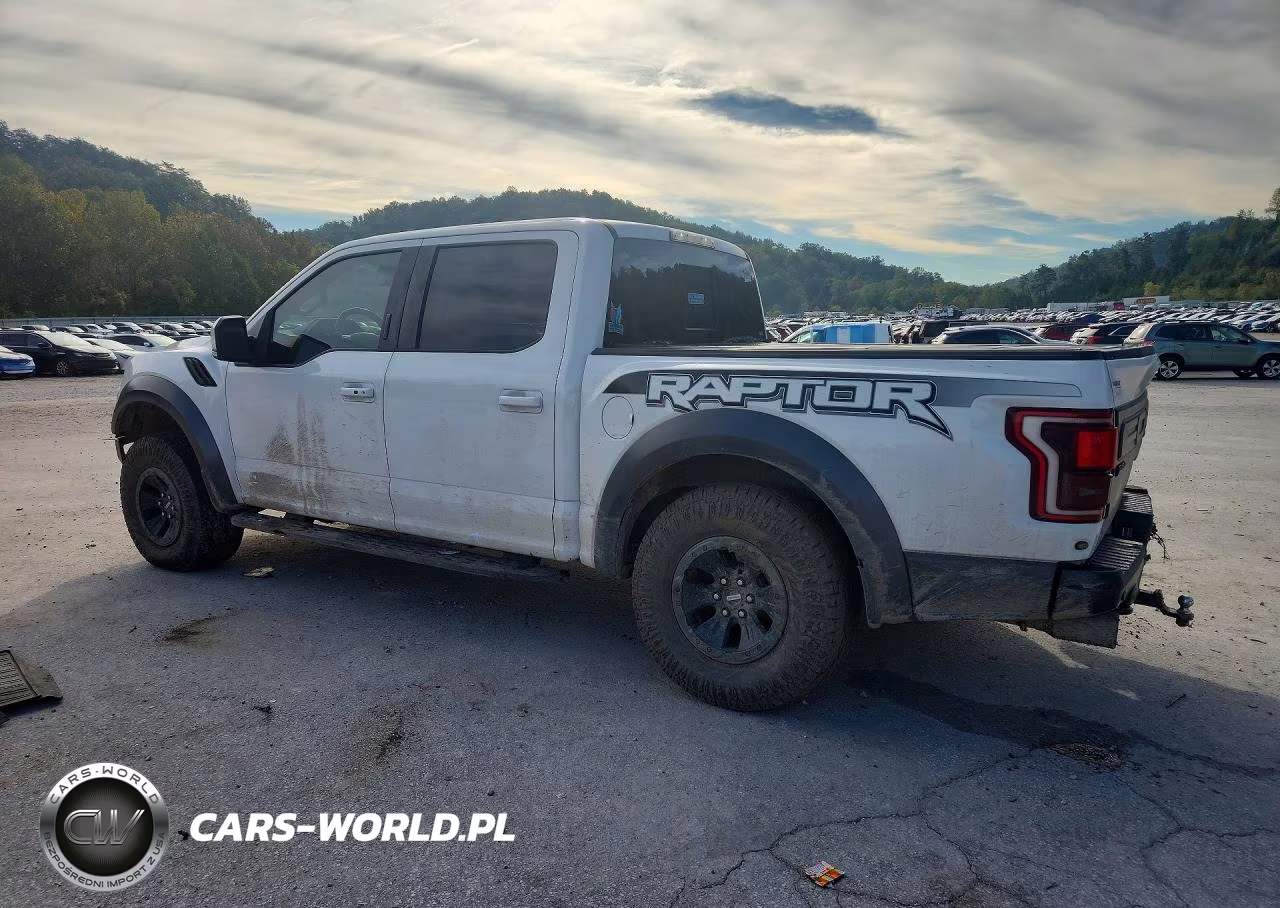 2017 Ford F150 Raptor VIN:1FTFW1RG3HFB76533 - 2