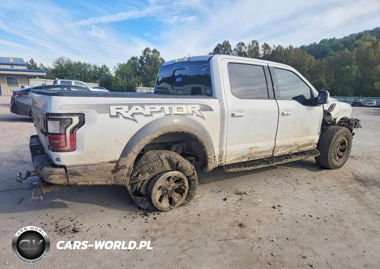 2017 Ford F150 Raptor VIN:1FTFW1RG3HFB76533 - 3