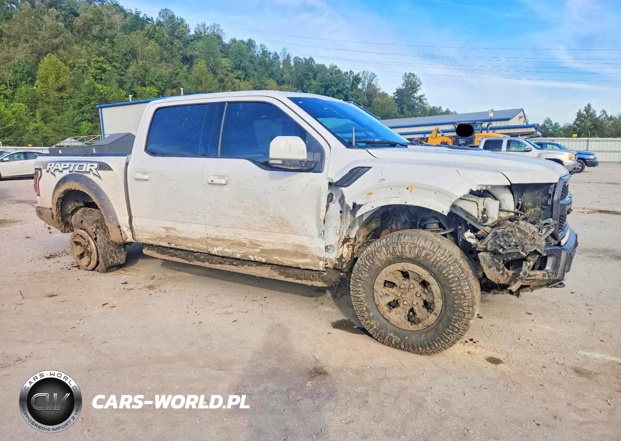 2017 Ford F150 Raptor VIN:1FTFW1RG3HFB76533 - 4