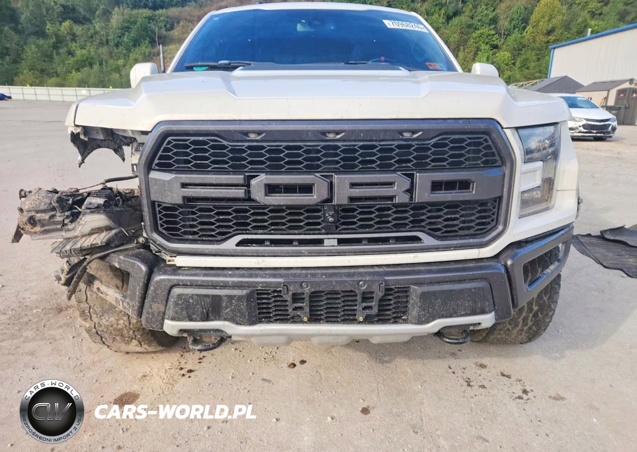 2017 Ford F150 Raptor VIN:1FTFW1RG3HFB76533 - 5