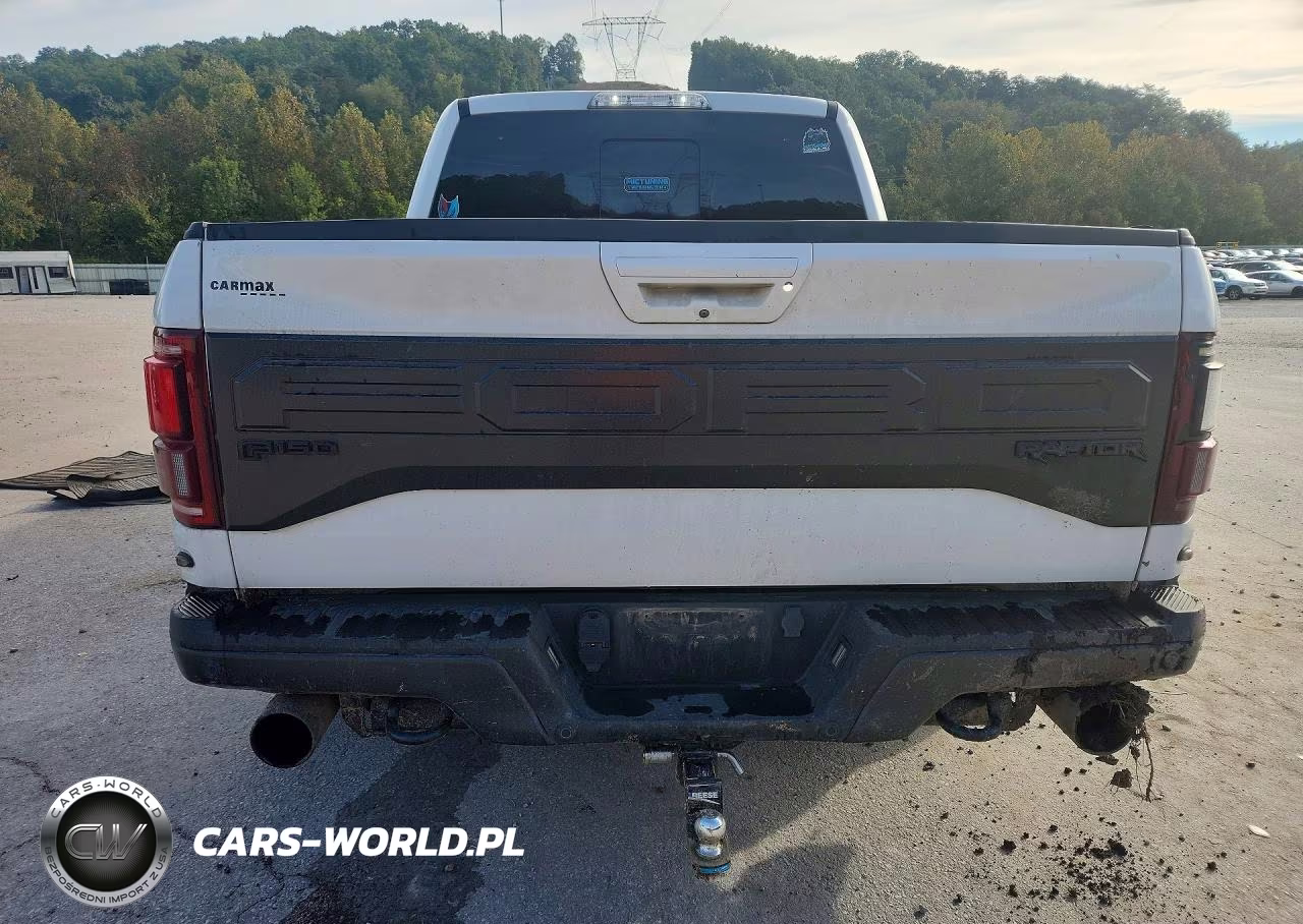 2017 Ford F150 Raptor VIN:1FTFW1RG3HFB76533 - 6