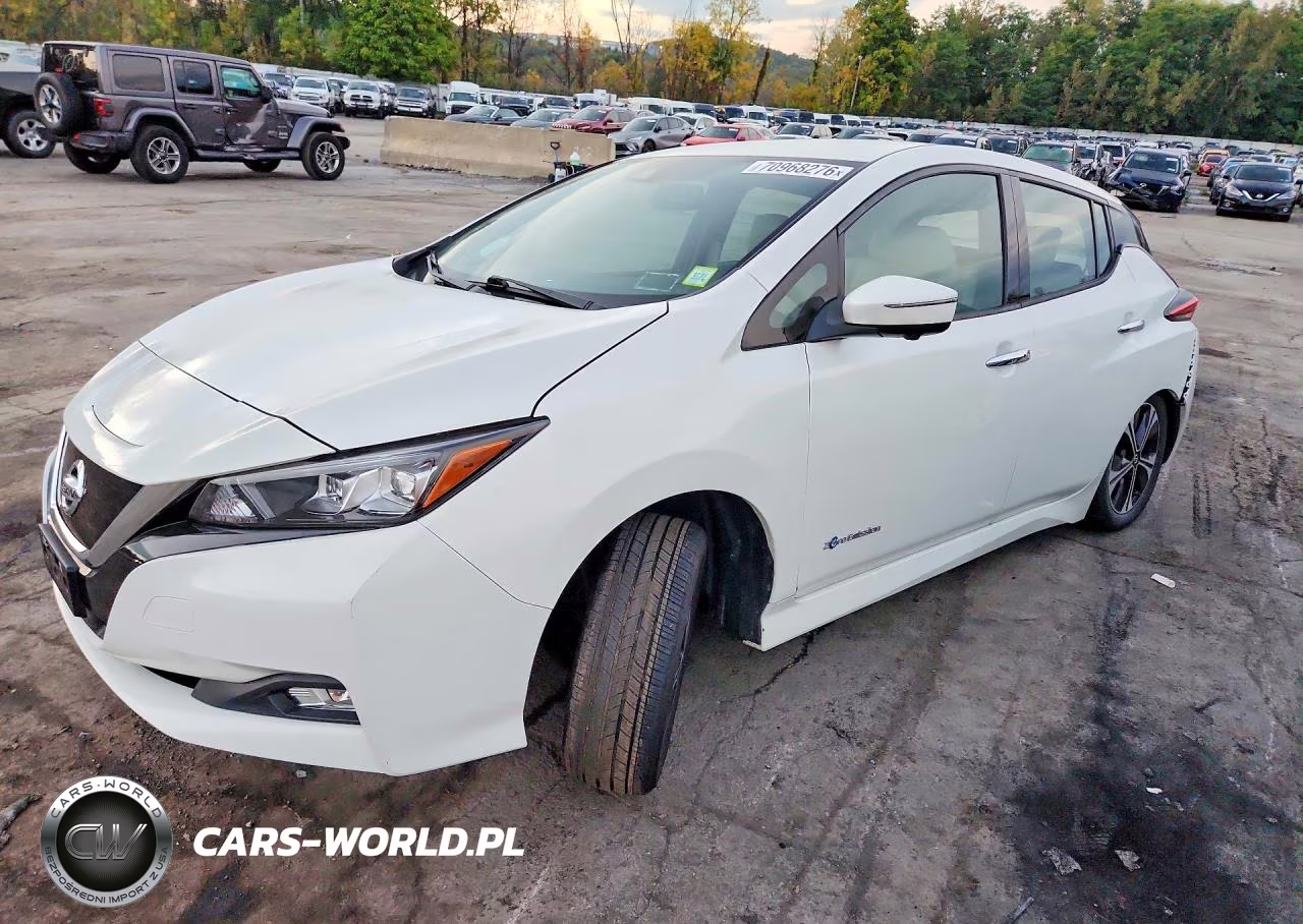 2019 Nissan Leaf Sl