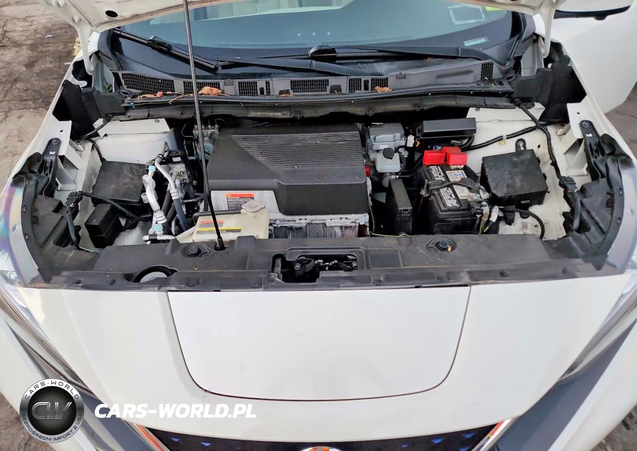 2019 Nissan Leaf Sl VIN:1N4AZ1CP1KC306432 - 11