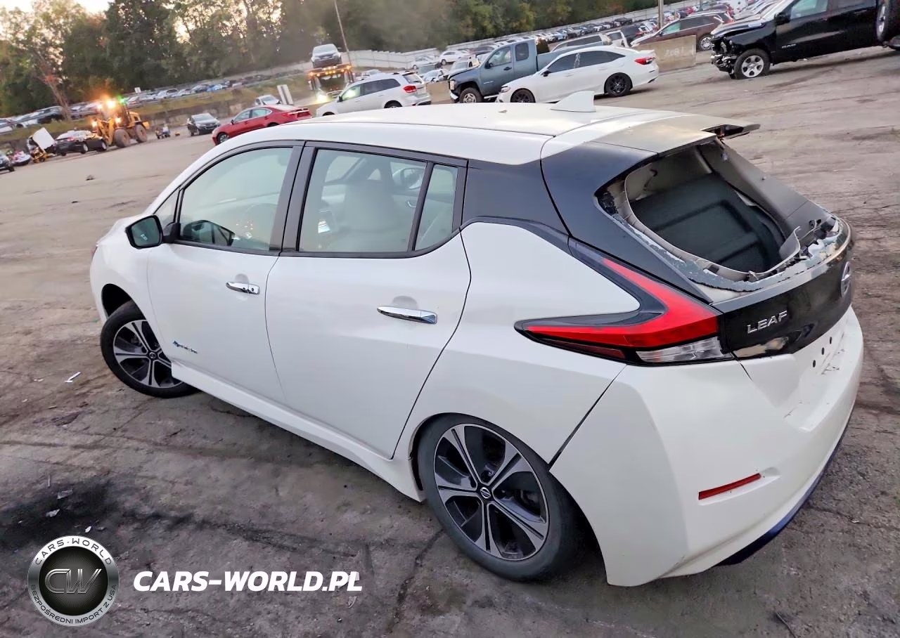 2019 Nissan Leaf Sl VIN:1N4AZ1CP1KC306432 - 2