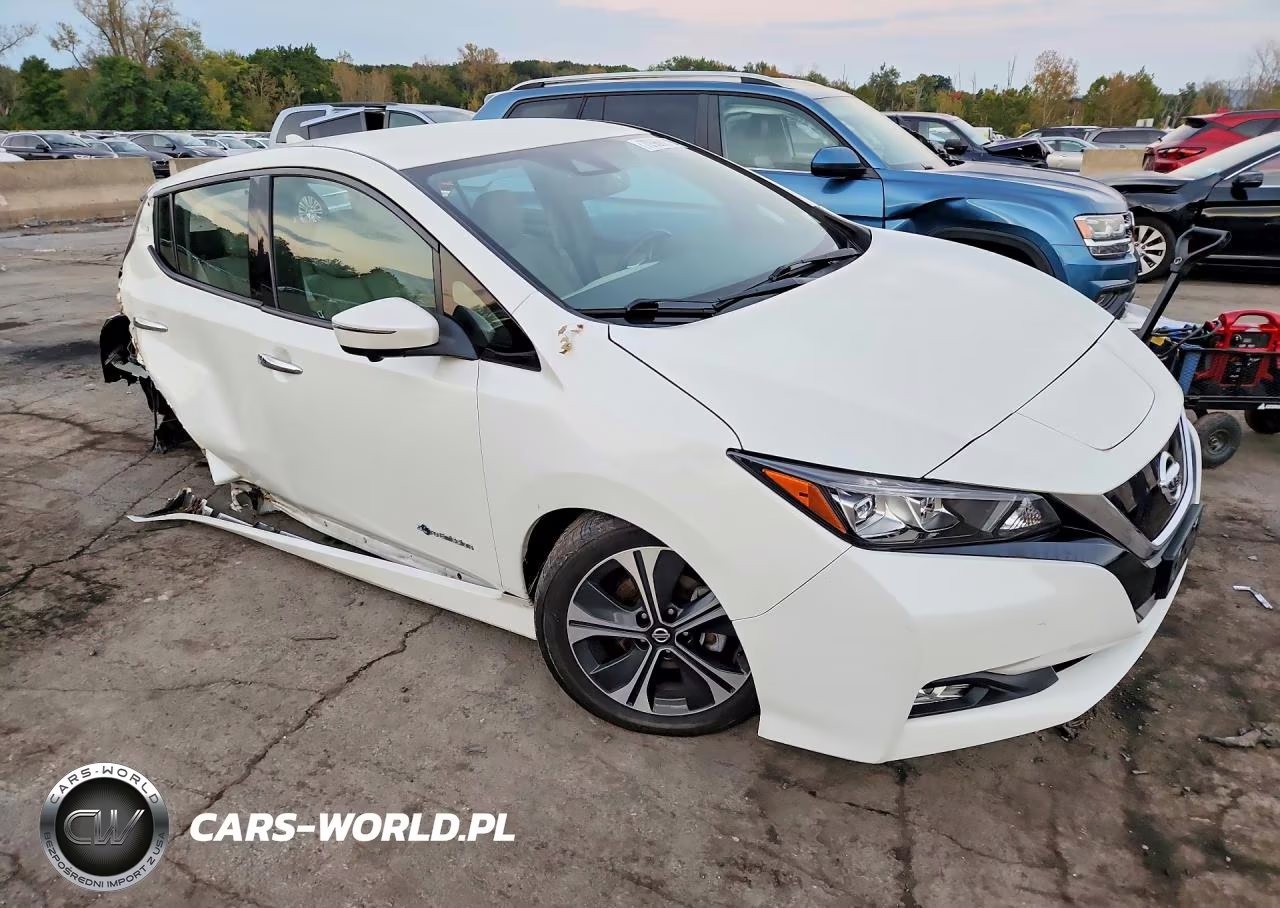 2019 Nissan Leaf Sl VIN:1N4AZ1CP1KC306432 - 4